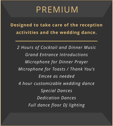 Premium Designed to take care of the reception activities and the wedding dance.  2 Hours of Cocktail and Dinner Music Grand Entrance Introductions Microphone for Dinner Prayer Microphone for Toasts / Thank You's Emcee as needed 4 hour customizable wedding dance Special Dances Dedication Dances Full dance floor DJ lighting